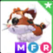 MFR Munchkin Cat - Response Time Under 1 Minute