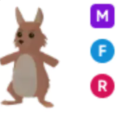MFR Kangaroo - Response Time Under 1 Minute