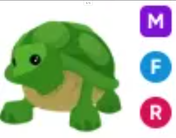 MFR Turtle - Response Time Under 1 Minute