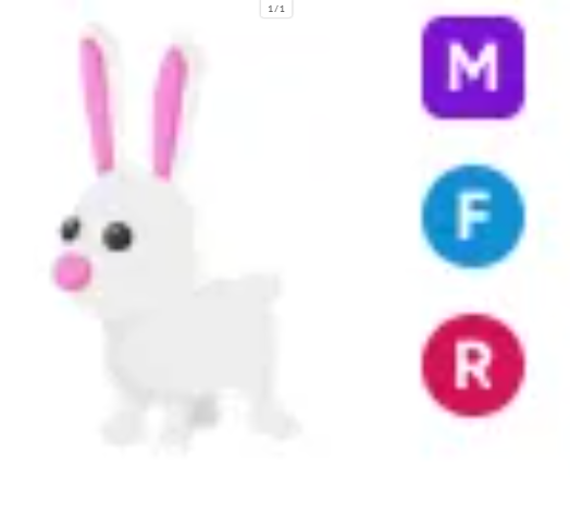 MFR Bunny - Response Time Under 1 Minute