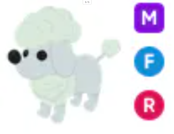 MFR Poodle - Response Time Under 1 Minute