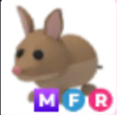MFR Bandicoot - Response Time Under 1 Minute