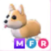 MFR Corgi - Response Time Under 1 Minute