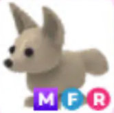 MFR Fennec Fox - Response Time Under 1 Minute
