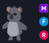 MFR Koala - Response Time Under 1 Minute