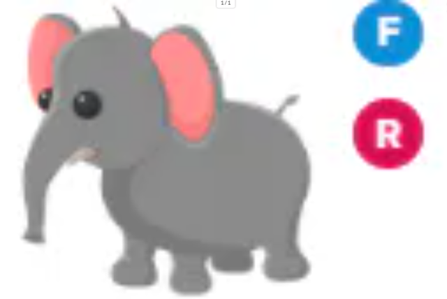 FR Elephant - Response Time Under 1 Minute