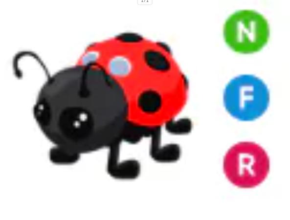 NFR Ladybug - Response Time Under 1 Minute