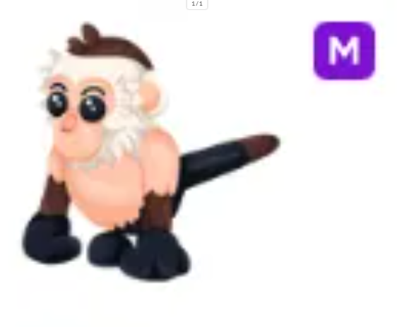 M Capuchin Monkey - Response Time Under 1 Minute