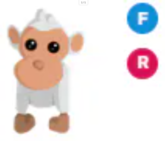 FR Albino Monkey - Response Time Under 1 Minute