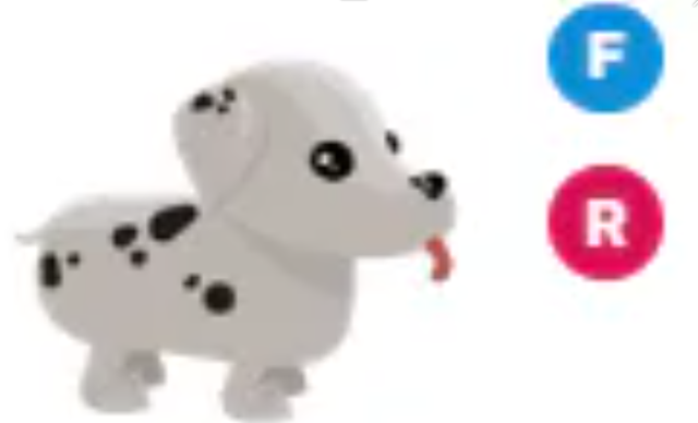 FR Dalmatian - Response Time Under 1 Minute