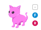 FR Pink Cat - Response Time Under 1 Minute