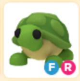 FR Turtle - Response Time Under 1 Minute