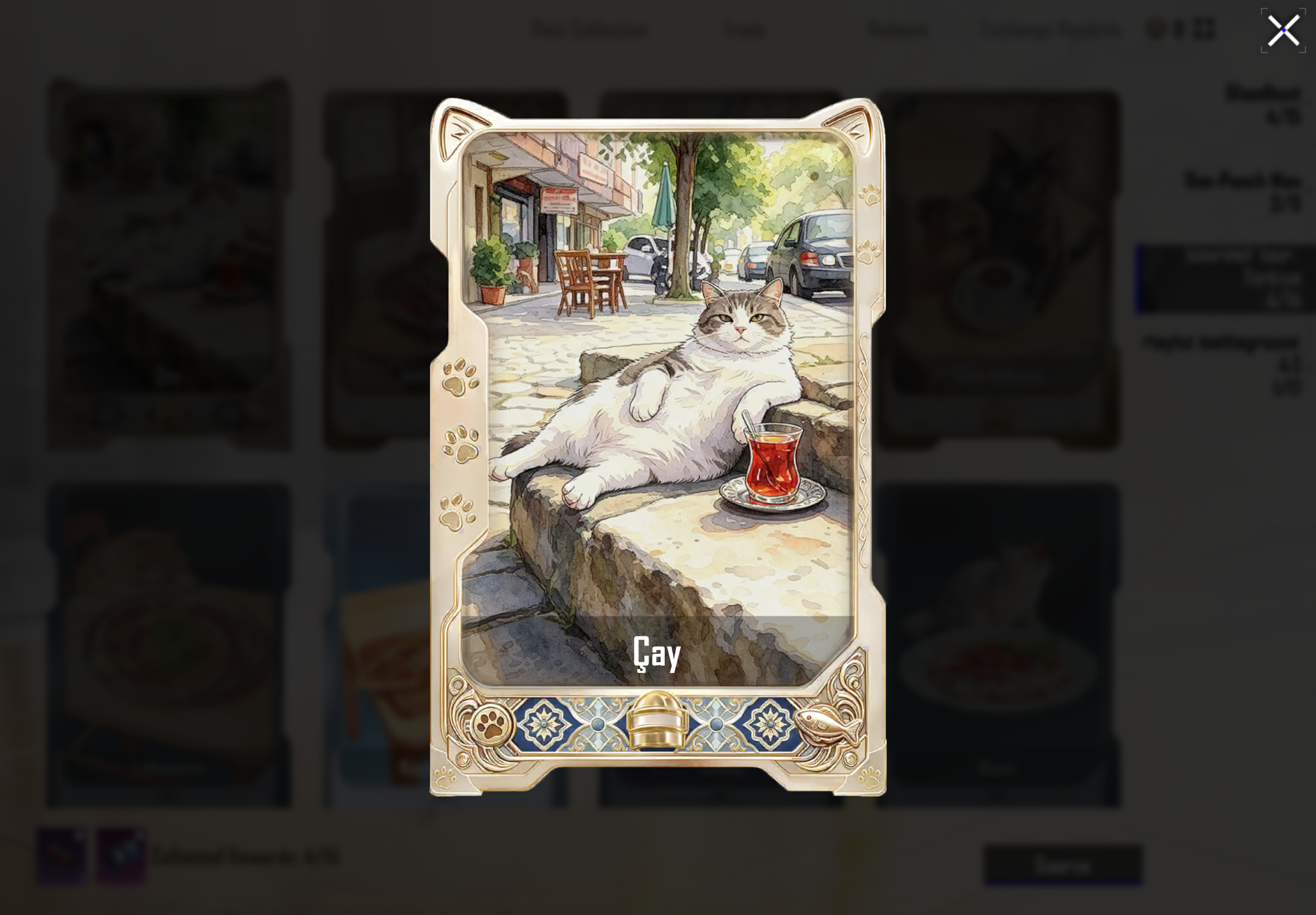 Cay New Rare card