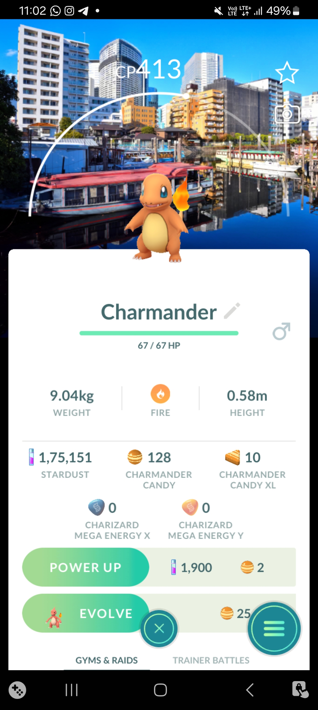 🔥 Tokyo Japan Location Background Charmander 🔥 TRADE/CATCHING SERVICE