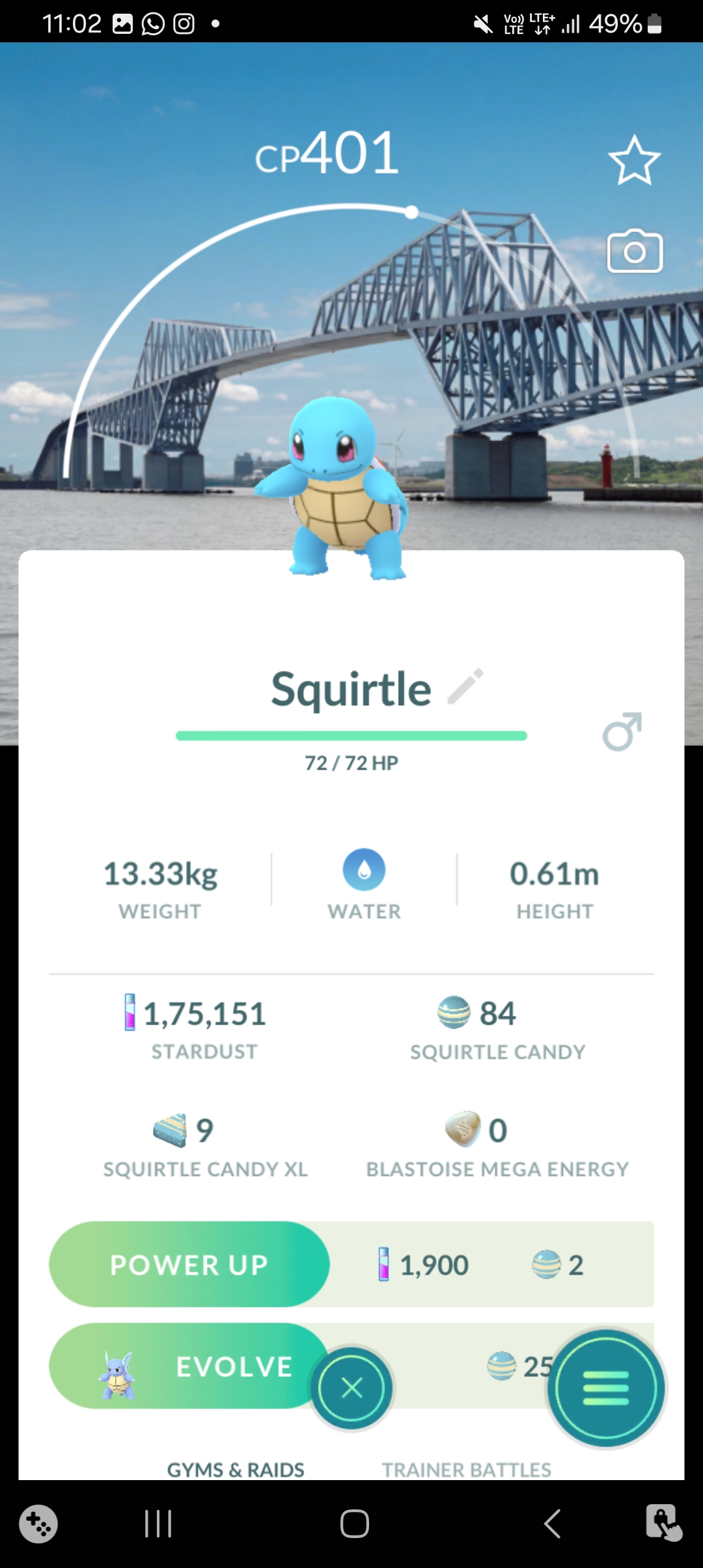 🔥 Tokyo Japan Location Background Squirtle 🔥 TRADE/CATCHING SERVICE
