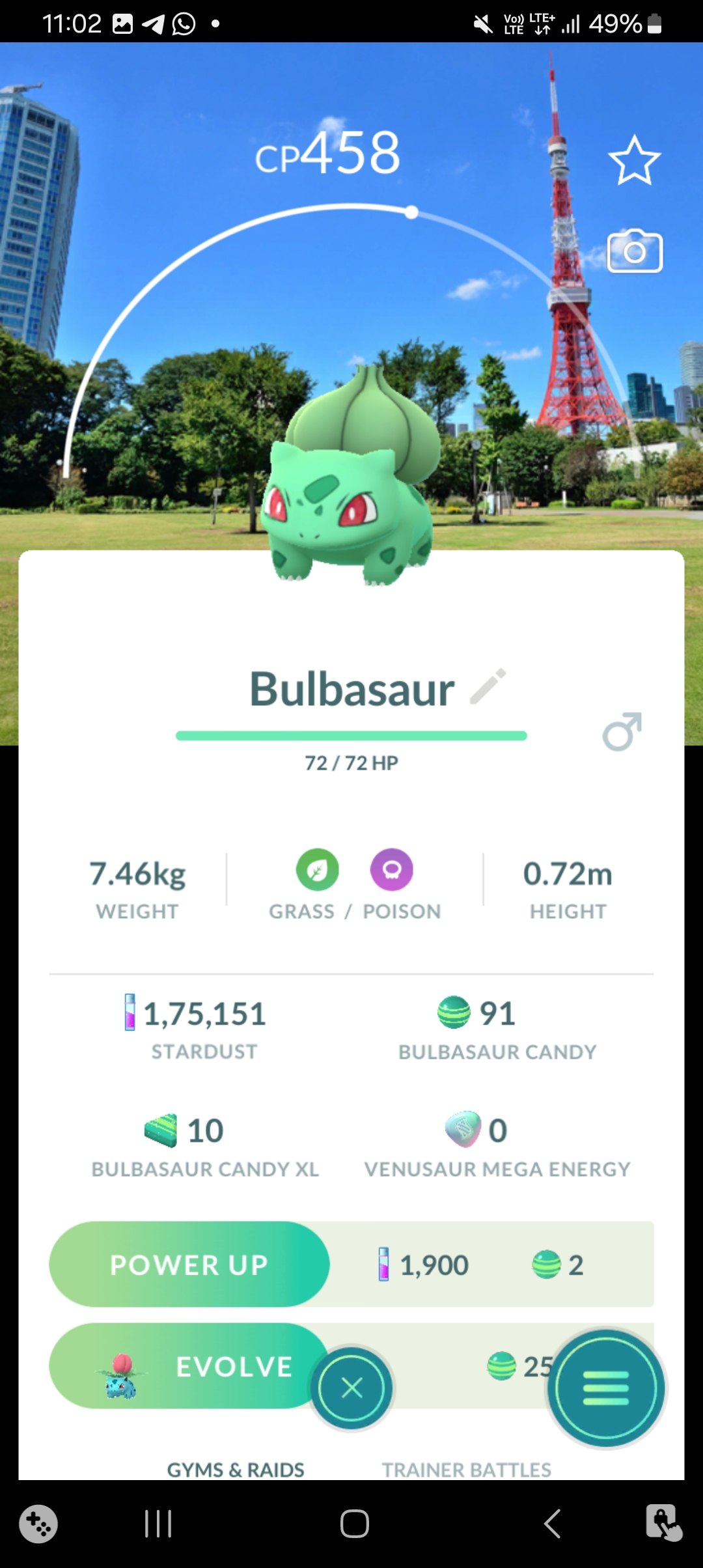 🔥 Tokyo Japan Location Background Bulbasaur 🔥 TRADE/CATCHING SERVICE