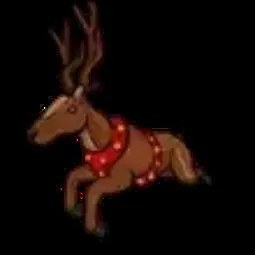 Reindeer