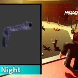 Night