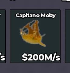 BS9127 Cheap Affordable Gold Capitano Moby