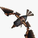 Steambird