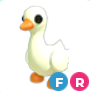 FR Goose > Adopt Me > Fast Delivery
