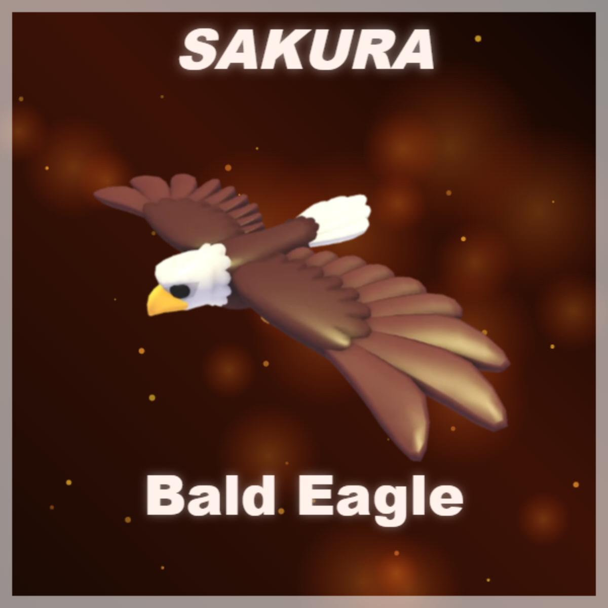 ⭐ Bald Eagle ⭐