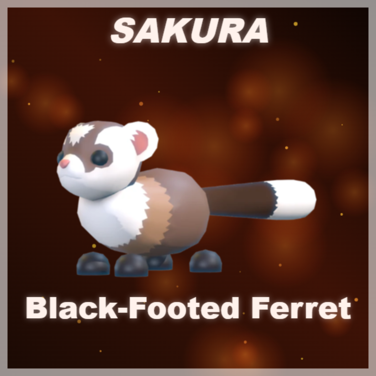 ⭐ Black-Footed Ferret ⭐