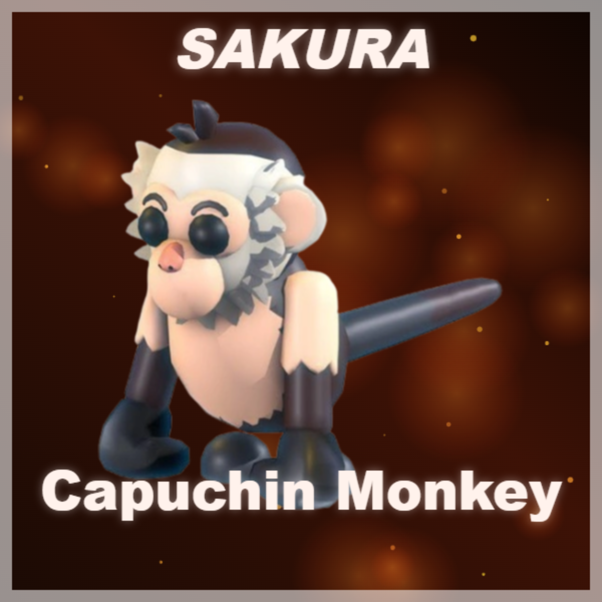 ⭐ Capuchin Monkey ⭐