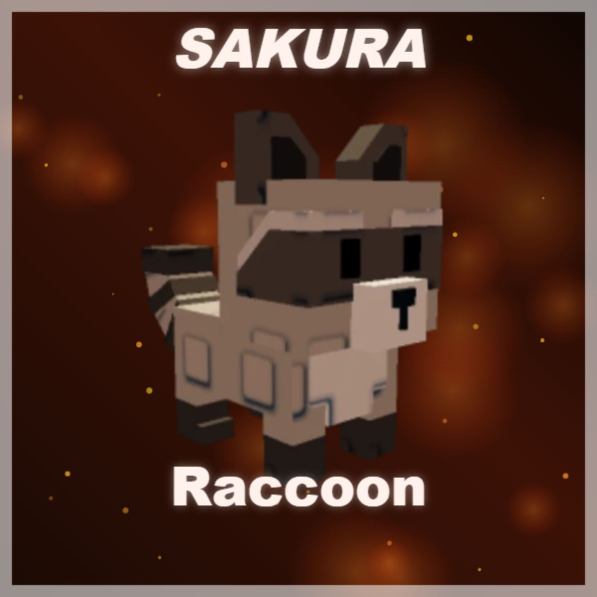 ⭐ Raccoon ⭐