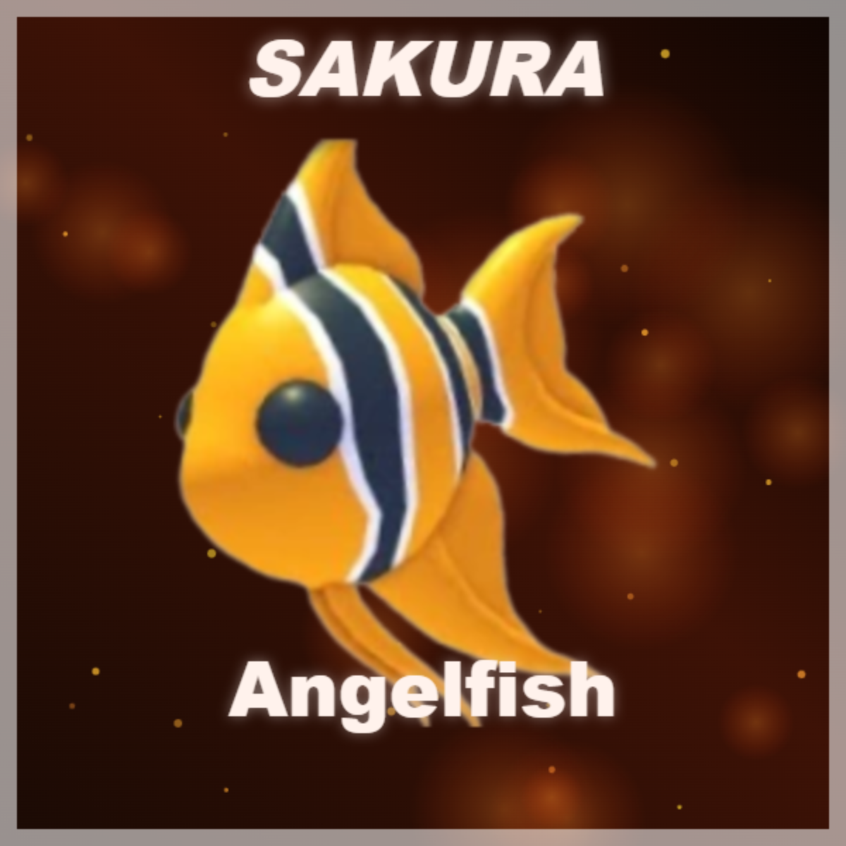 ⭐ Angelfish ⭐