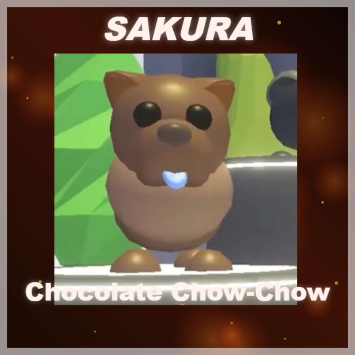 ⭐ Chocolate Chow-Chow ⭐