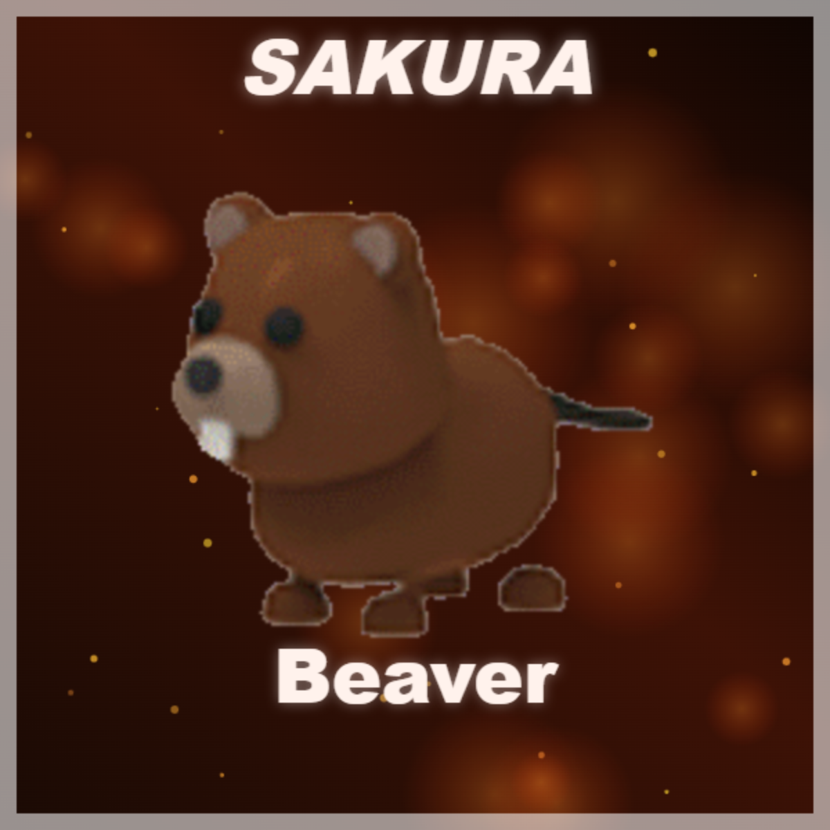 ⭐ Beaver ⭐