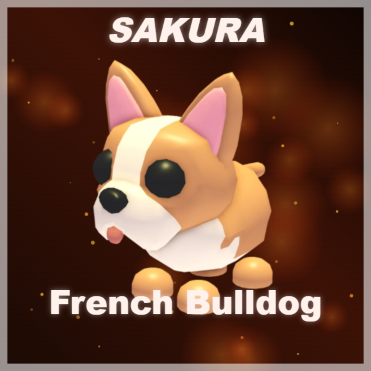 ⭐ French Bulldog ⭐