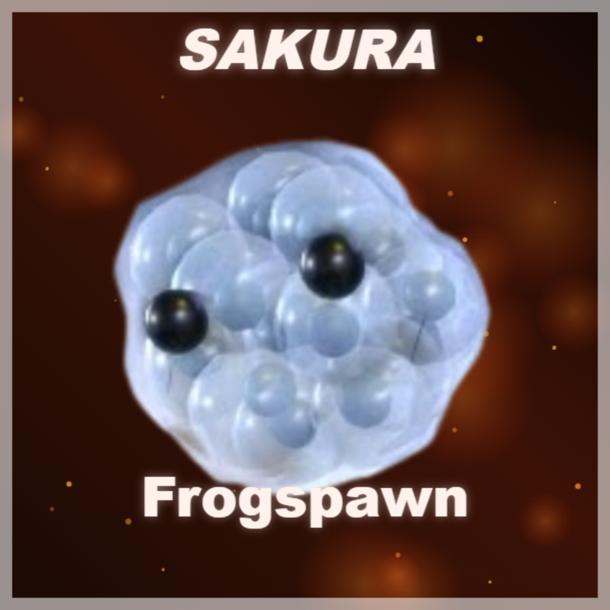 ⭐ Frogspawn ⭐