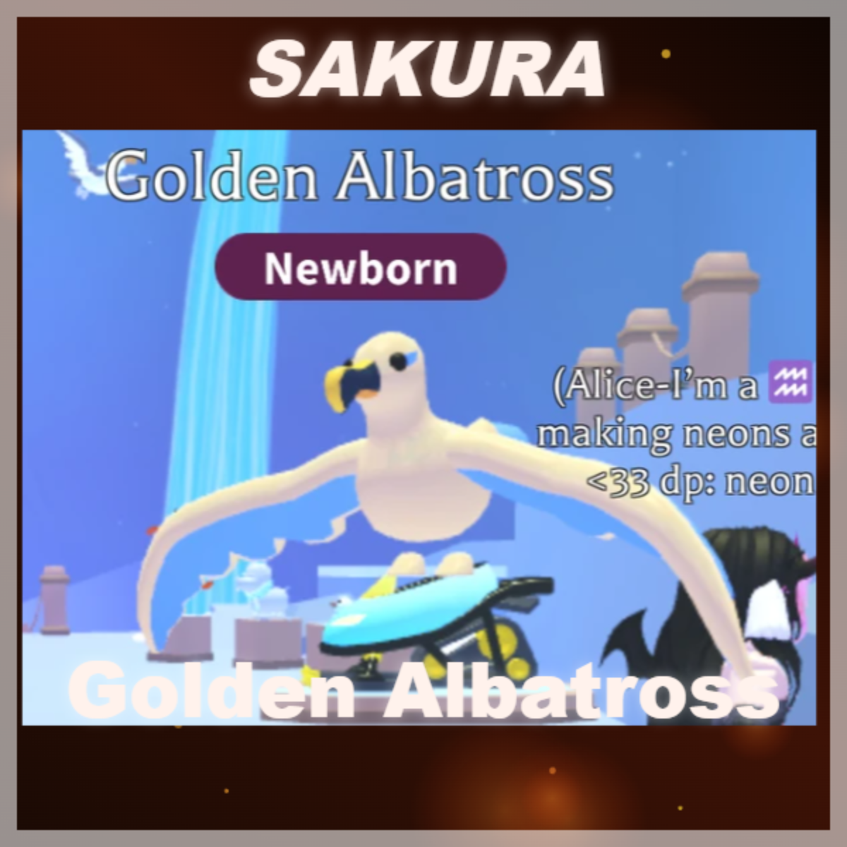 ⭐ Golden Albatross ⭐