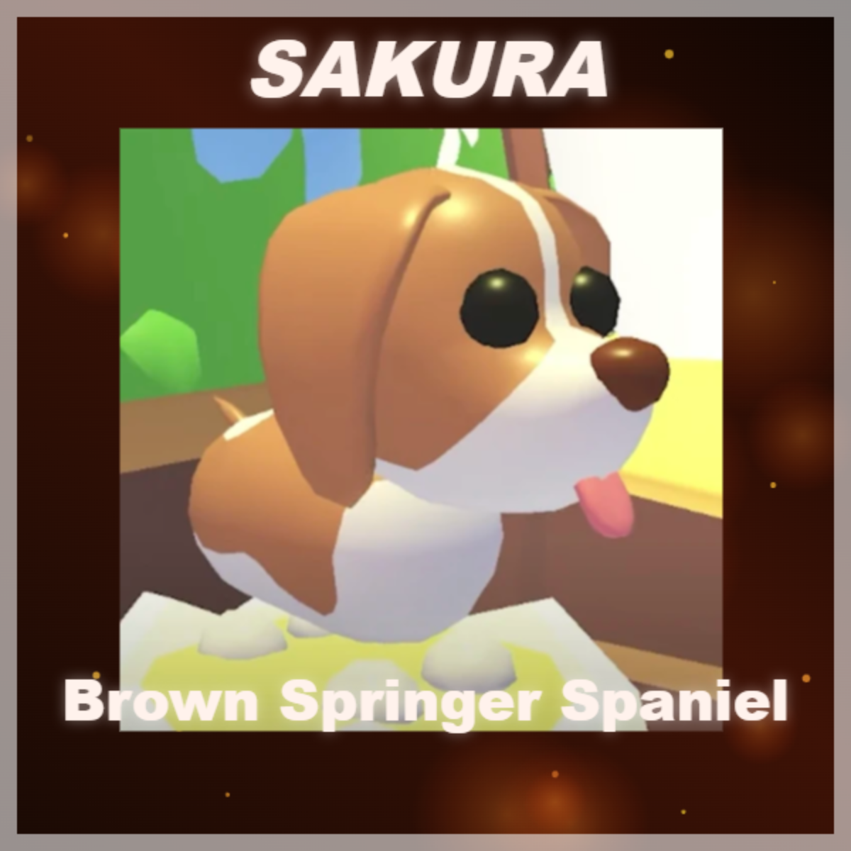 ⭐ Brown Springer Spaniel ⭐