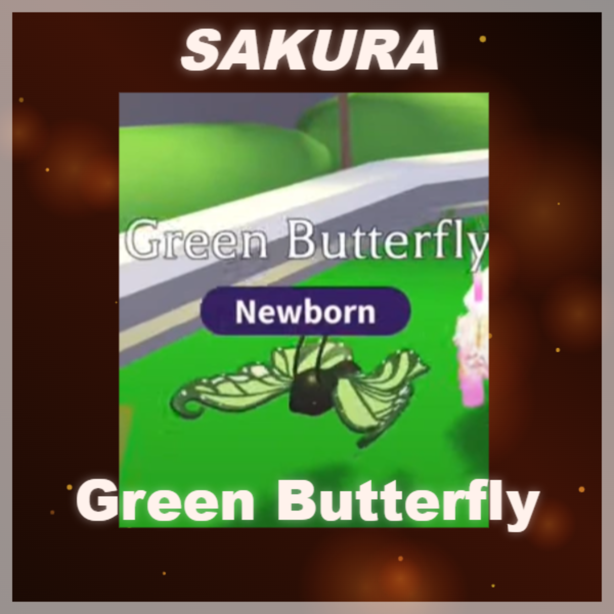 ⭐ Green Butterfly ⭐
