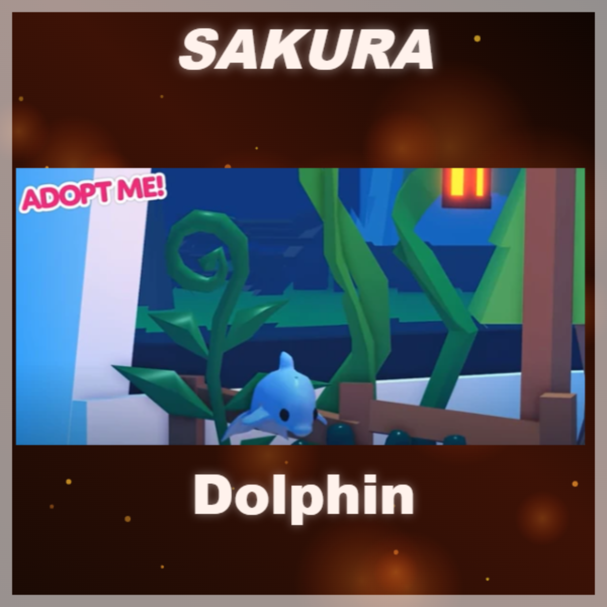 ⭐ Dolphin ⭐