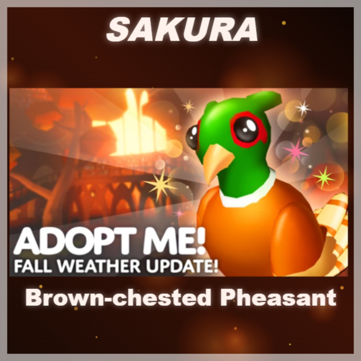 ⭐ Brown-chested Pheasant ⭐