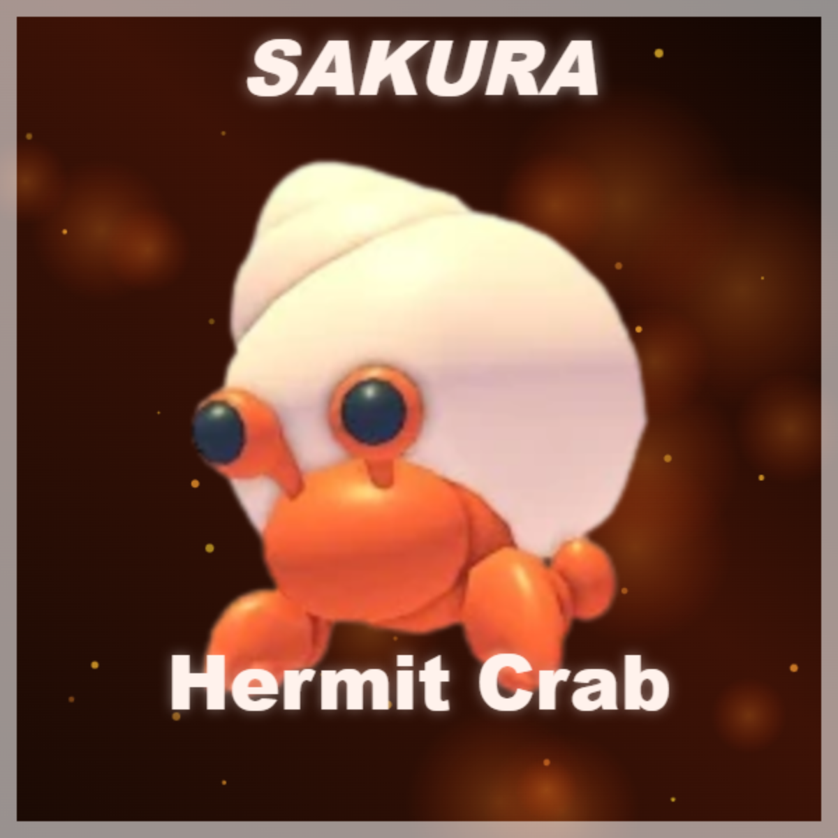 ⭐ Hermit Crab ⭐