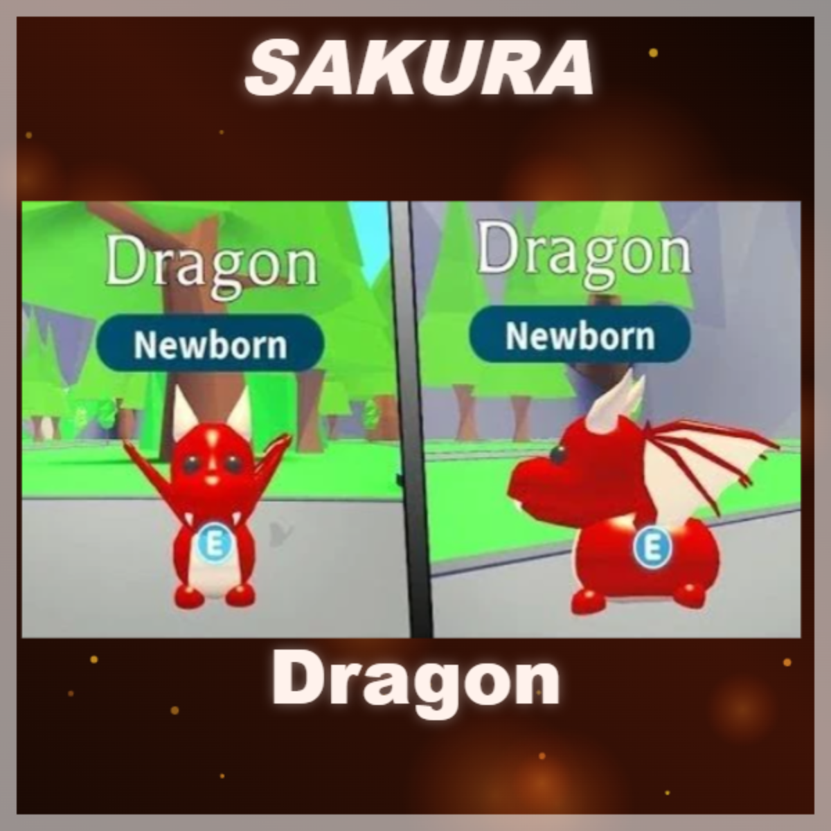 ⭐ Dragon ⭐