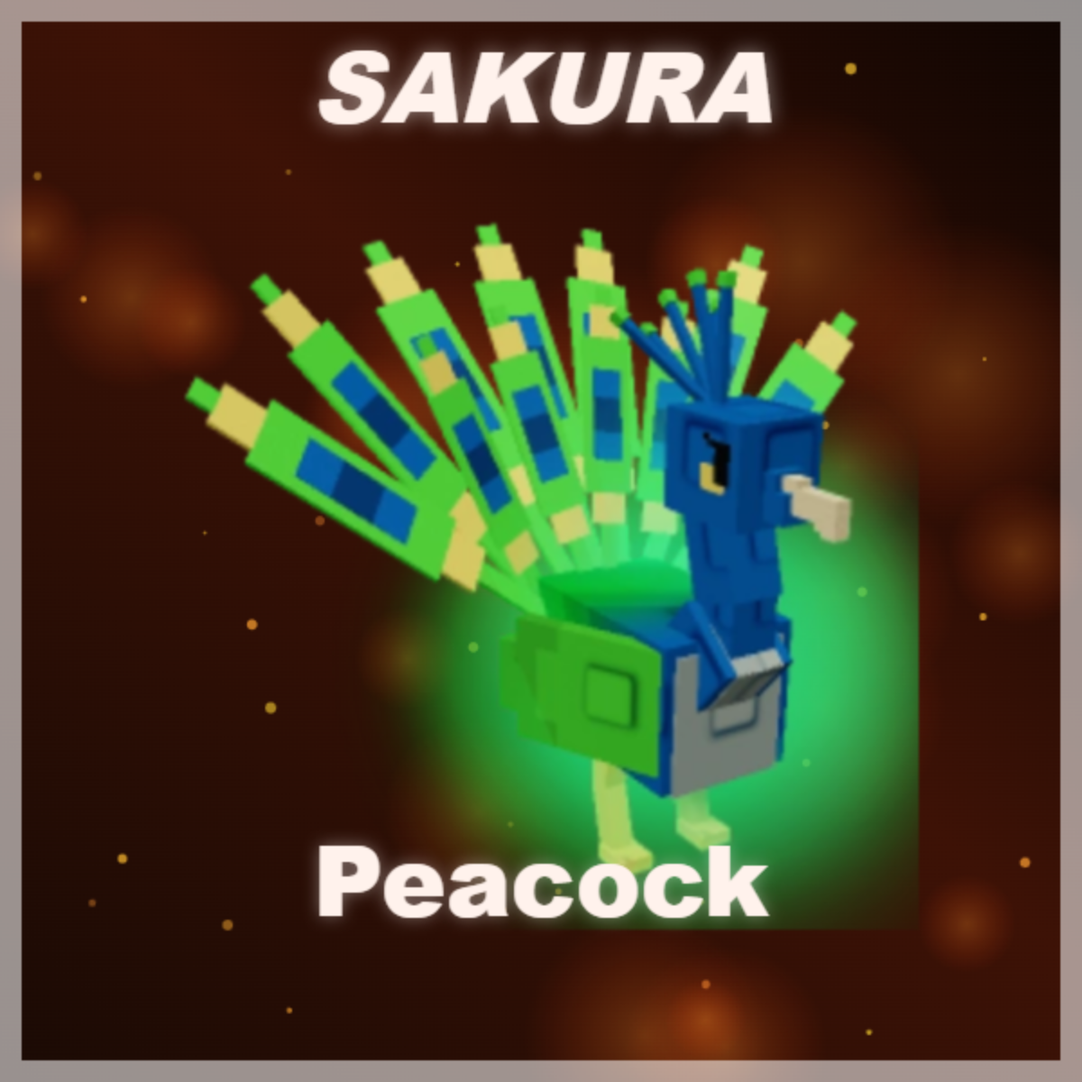 ⭐ Peacock ⭐