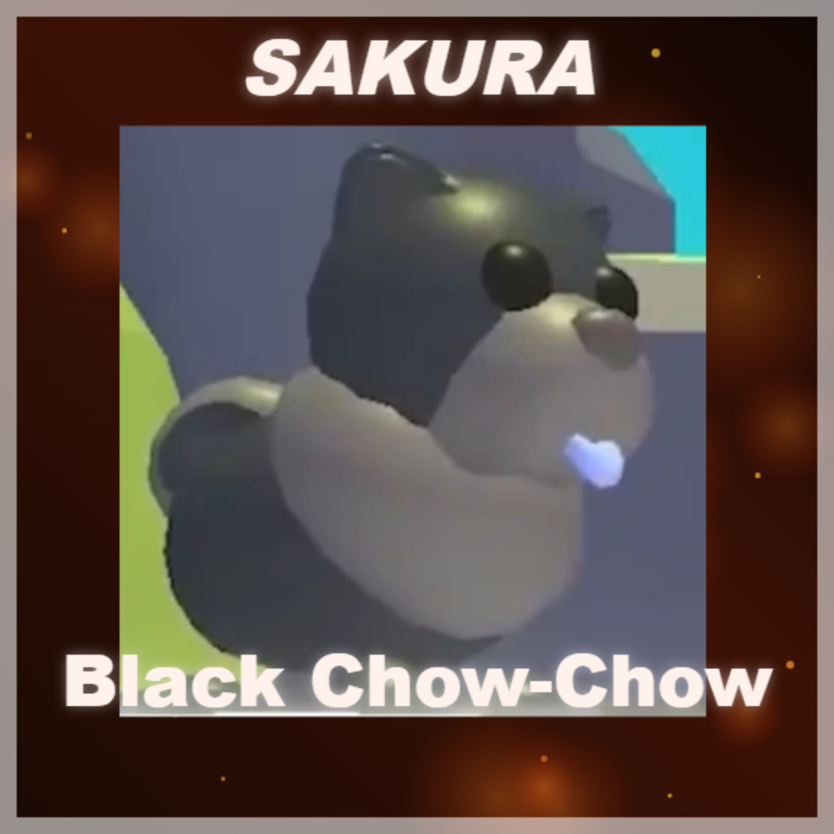 ⭐ Black Chow-Chow ⭐