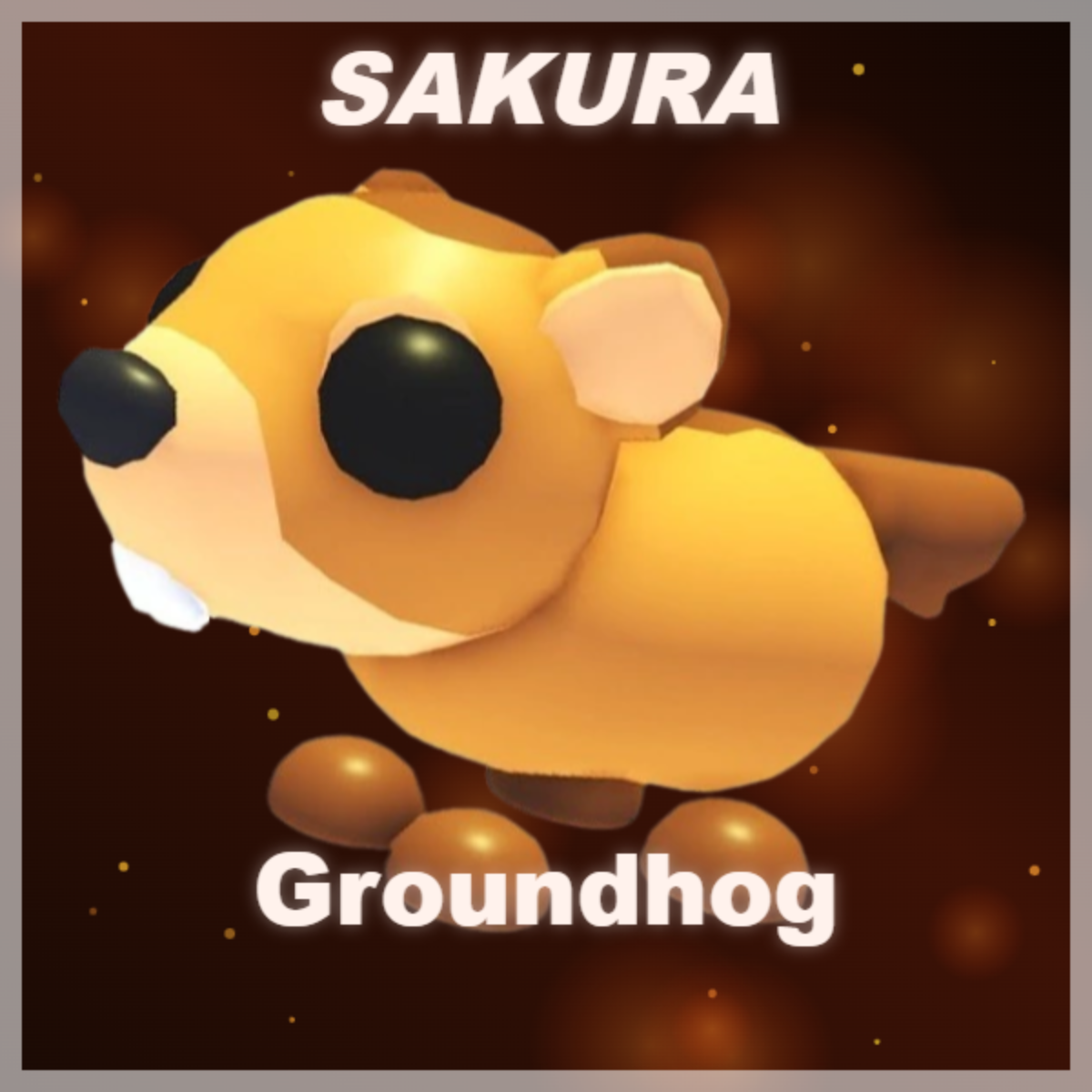 ⭐ Groundhog ⭐