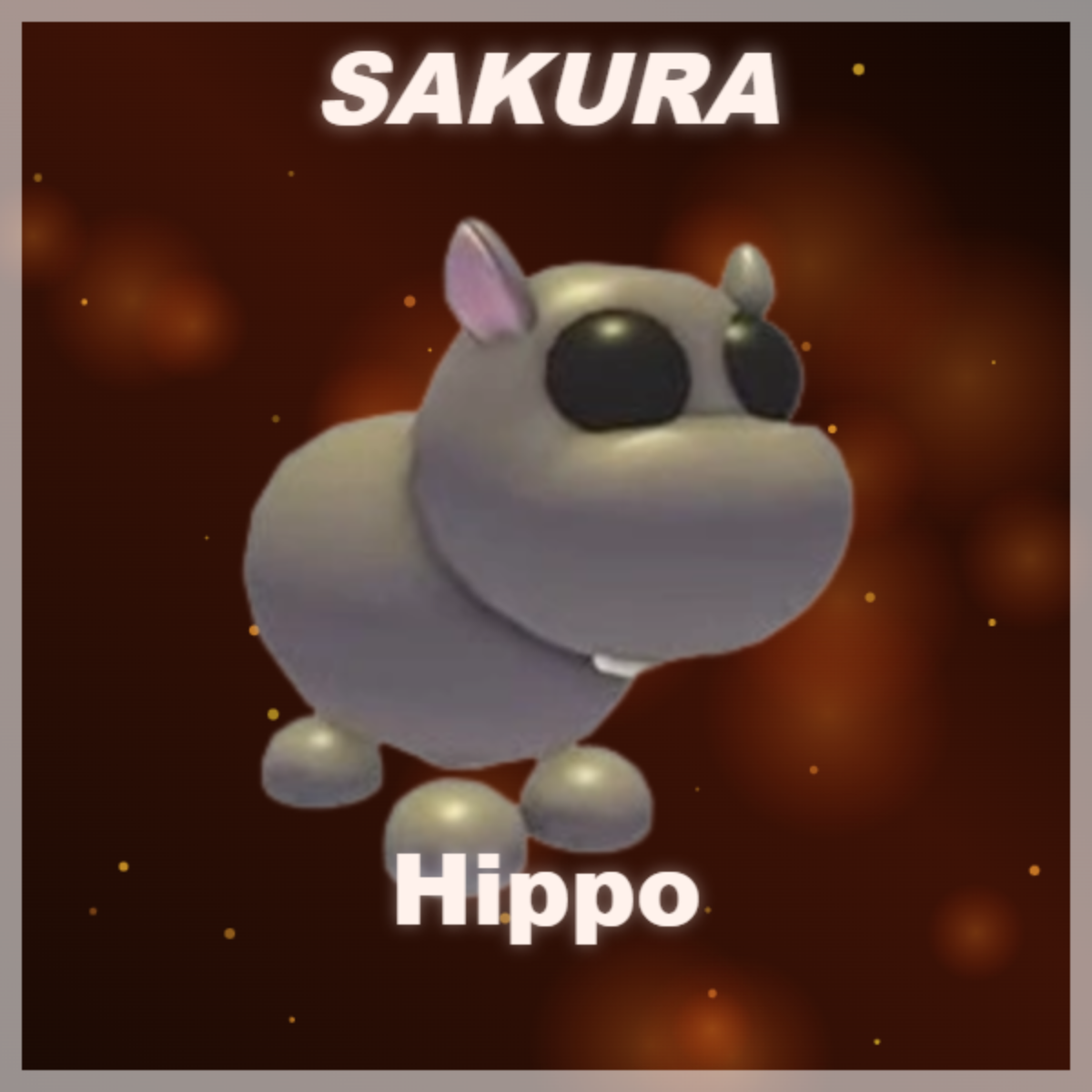 ⭐ Hippo ⭐
