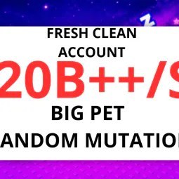 20B Pet