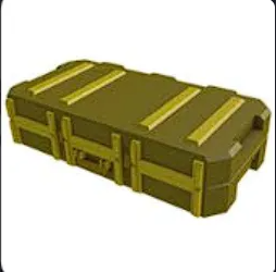 Skin Case 2