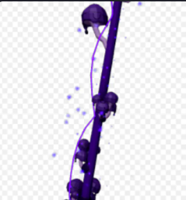 Toxinburst Rod Full Set