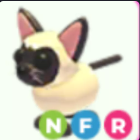 NFR Siamese Cat #14