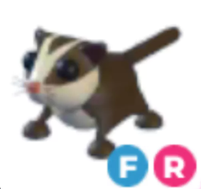 Sugar Glider FR - Adopt ME - #50